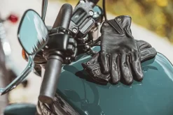 Highway 21 Roulette Gloves