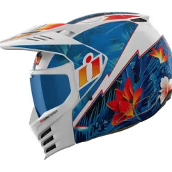 ICON Elsinore Kaonohi Helmet